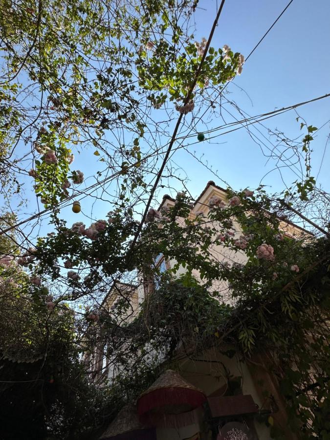 Cunda Kardias酒店 外观 照片